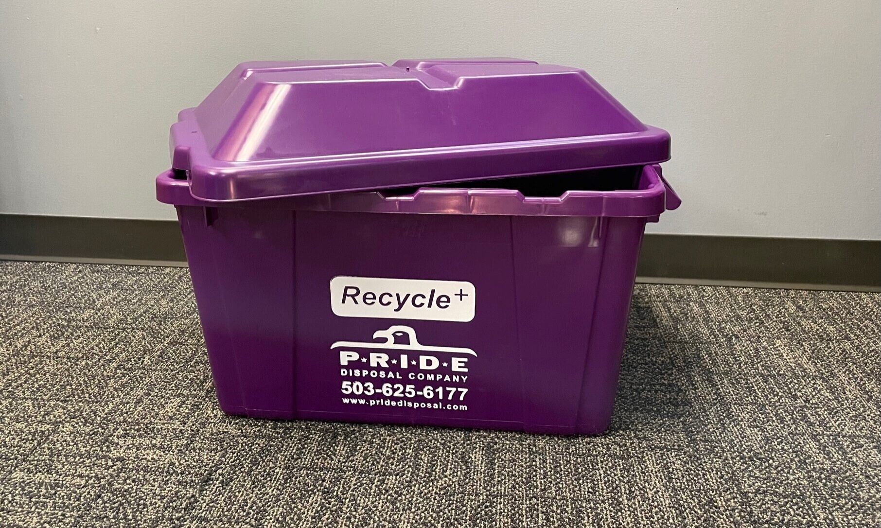 Purple Bin